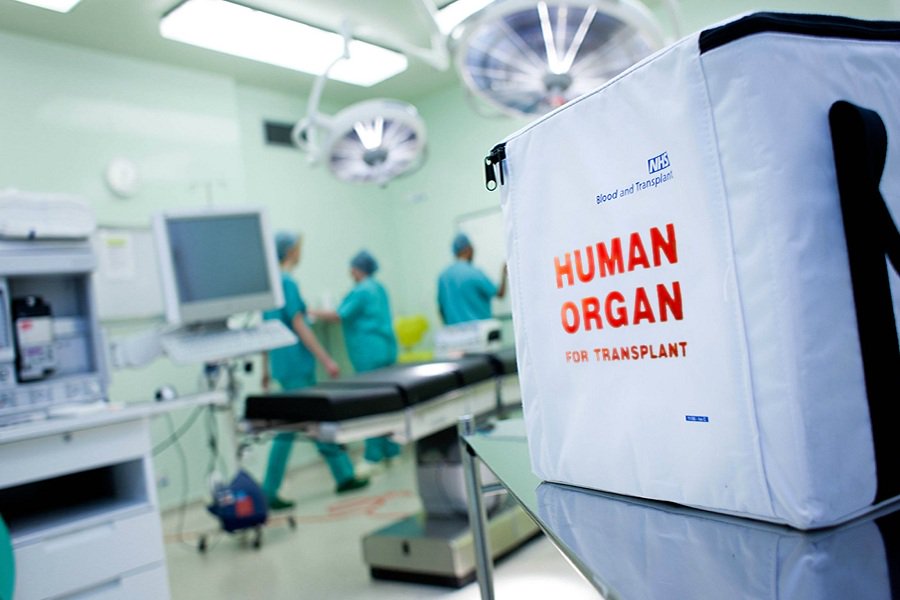 HUMAN ORGAN transplant 24 1 2024