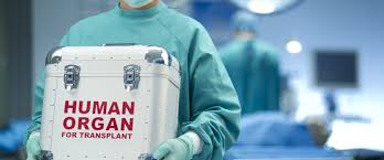 Transpant humanOrgan 6 9 2025